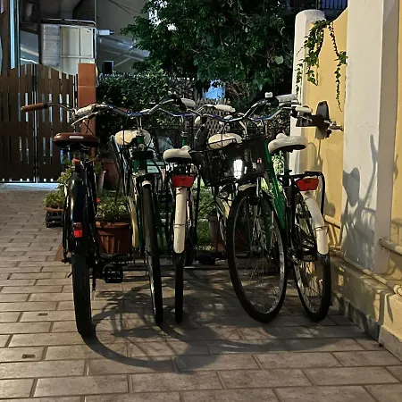 Rex Hotel Praia a Mare