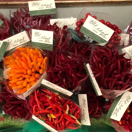 Rex Hotel Praia a Mare