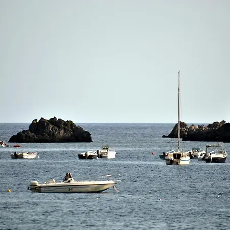 Hotel Rex Praia a Mare