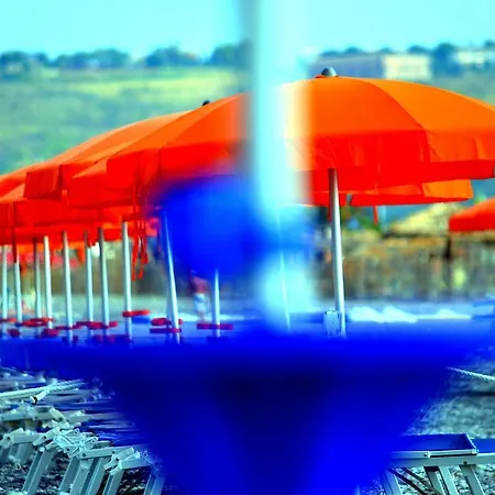 Rex Hotel Praia a Mare